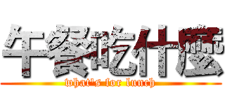午餐吃什麼 (what's for lunch)