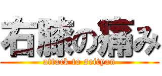 右膝の痛み (attack to seityan)