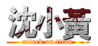 沈小黃 (attack on titan)
