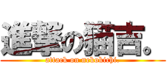 進撃の猫吉。 (attack on nekokichi.)