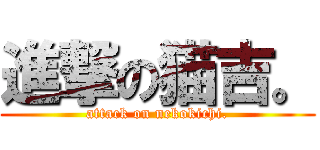 進撃の猫吉。 (attack on nekokichi.)