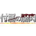 付属の筋肉 (Attached muscle)