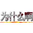 为什么啊 (为什么啊)