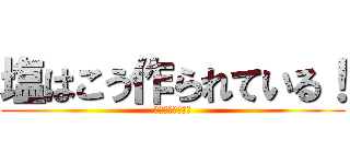 塩はこう作られている！ (ミネラルたっぷり)