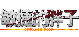 敏捷的胖子 (attack on titan)