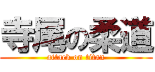 寺尾の柔道 (attack on titan)