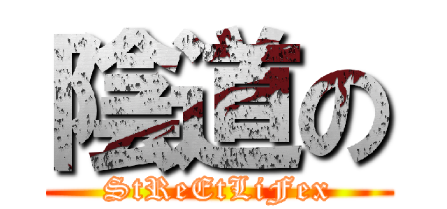 陰道の (StReEtLiFex)