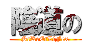 陰道の (StReEtLiFex)