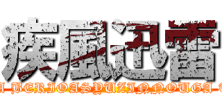 疾風迅雷 (NARUGA BERIOASYUZINNOUGA TYIGA  )