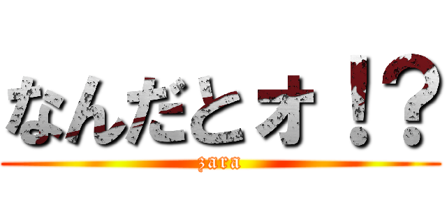 なんだとォ！？ (zara)