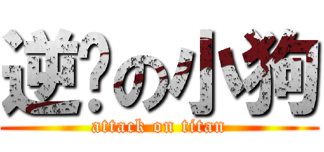 逆擊の小狗 (attack on titan)