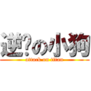 逆擊の小狗 (attack on titan)