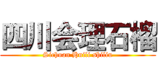 四川会理石榴 (Sichuan Huili shiliu)