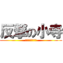 反撃の小寺 (ゴキブリへの逆襲)