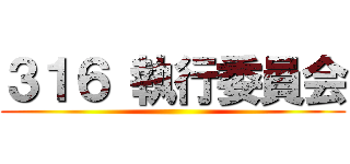 ３１６ 執行委員会 ()