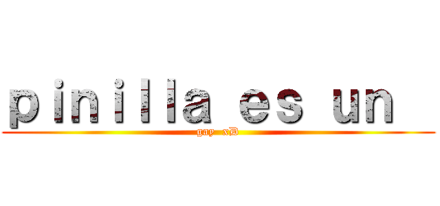 ｐｉｎｉｌｌａ ｅｓ ｕｎ   (gay  xD)