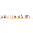 ｐｉｎｉｌｌａ ｅｓ ｕｎ   (gay  xD)