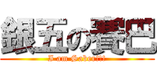 銀五の賽巴 (I am Saber!!!)