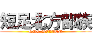 短足北方部族 (SPY  HEAVEN)