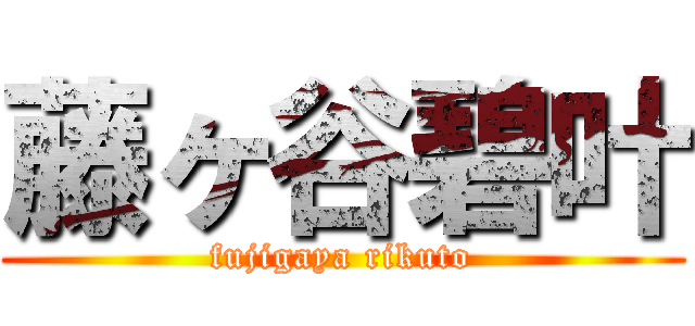 藤ヶ谷碧叶 (fujigaya rikuto)