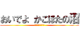 おいでよ かこほたの沼 (ミス・フォーチュン)