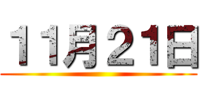 １１月２１日 ()