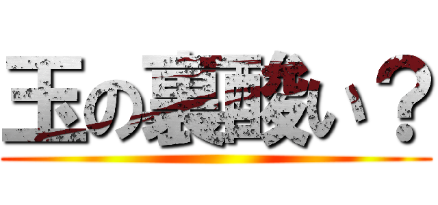 玉の裏酸い？ ()