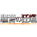 騒音の狂塩 (Noise on crazy salt)