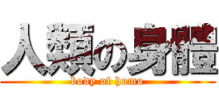 人類の身體 (body of homo)