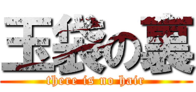 玉袋の裏 (there is no hair)