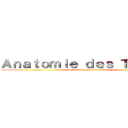 Ａｎａｔｏｍｉｅ ｄｅｓ Ｔｉｔａｎｓ (Le dernier espoir des P1)