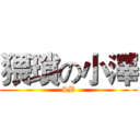 猥瑣の小澤 (SB)