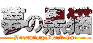 夢の黒猫 (Dreaming Black Cat)