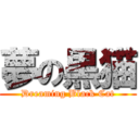 夢の黒猫 (Dreaming Black Cat)