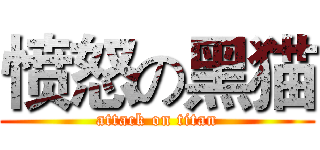愤怒の黑猫 (attack on titan)