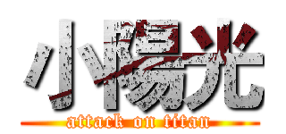 小陽光 (attack on titan)