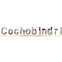 Ｃｏｃｈｏｂｉｎｄｒｉ (attack on mairim)