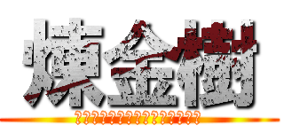  煉金樹  (有效萃取金新木薑子生物鹼之探討)