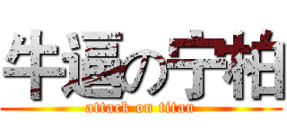 牛逼の宁柏 (attack on titan)