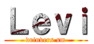 Ｌｅｖｉ (drinvers sm)