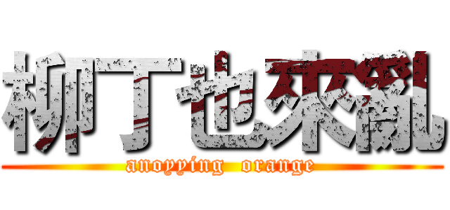 柳丁也來亂 (anoyying  orange)