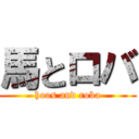 馬とロバ (hoos and roba)