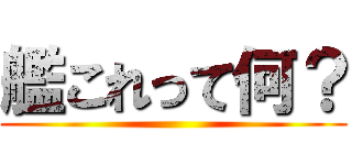 艦これって何？ ()