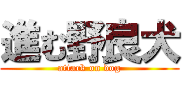 進む野良犬 (attack on dog)