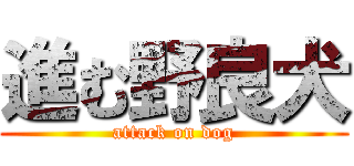 進む野良犬 (attack on dog)