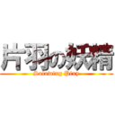片羽の妖精 (Solowing Pixy)