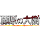 藤原の大樹 (nann  de  dayo)