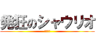 発狂のシャウリオ (マジキチ)