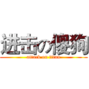 进击の傻狗 (attack on titan)