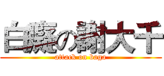 白癡の謝大千 (attack on baga)